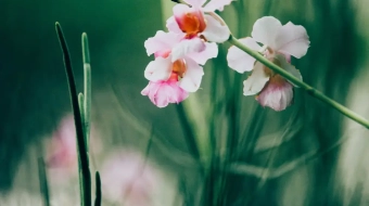 chuttersnap-565733-unsplash-1-1-min