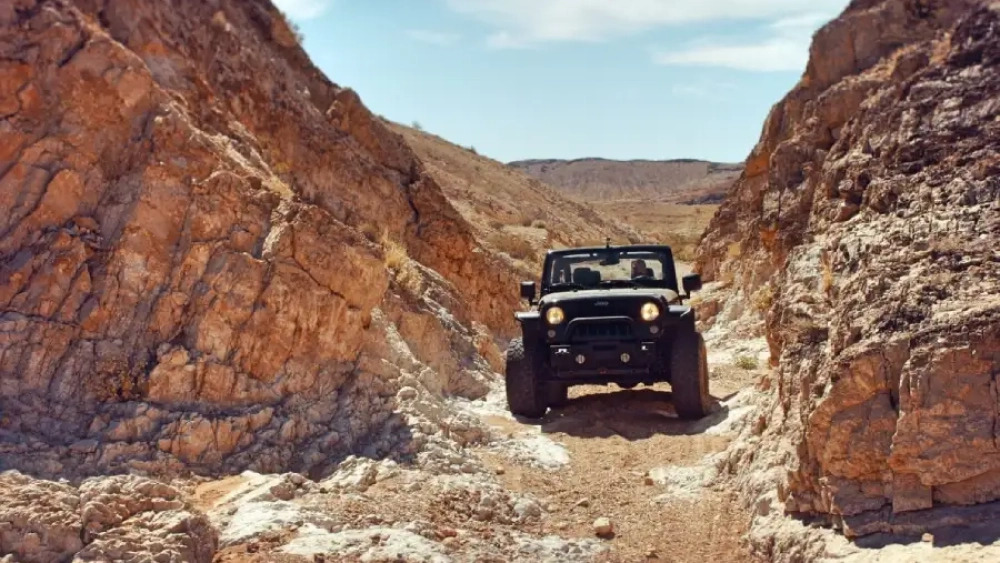 photo-1467489904517-075c242c2b4f-e1524572069842fk-min