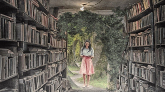 library-3992076_1920-min