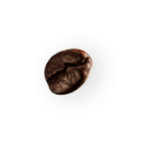 coffee-beans-P4MXYZD2-1 (1)-min