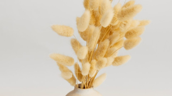 pexels-artem-podrez-4612458-min