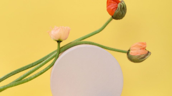 pexels-daria-liudnaya-7354444-min