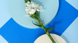 pexels-daria-liudnaya-7354669-min