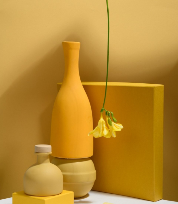 pexels-daria-liudnaya-7354715-min