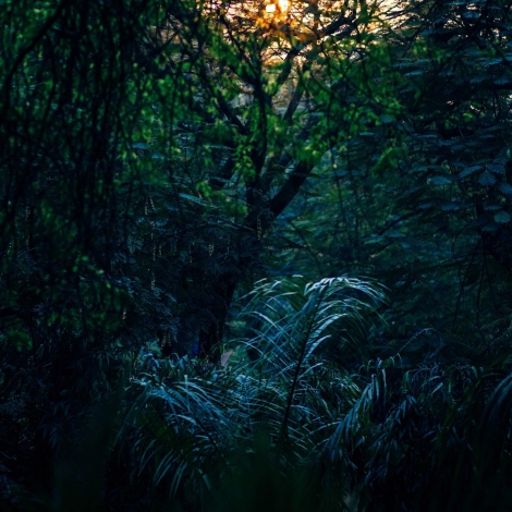 abstract-2181884-scaled-min