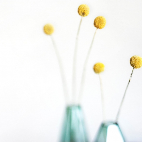 kari-shea-j0dw8kTxgmM-unsplash-scaled-min