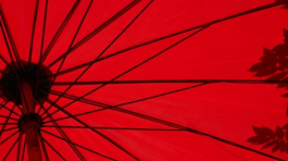 loic-furhoff-YERwza88a0o-unsplash@2x-min