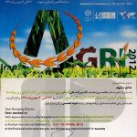 honors-sane-pipe3-150x150