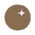 خاکی