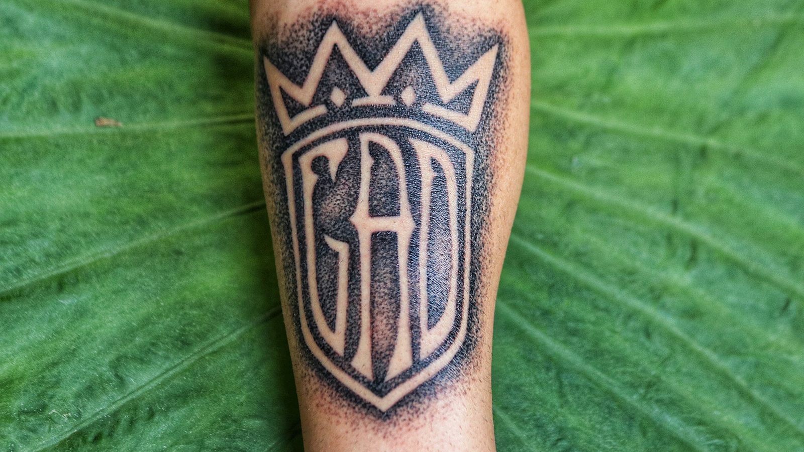 massimiliano-greco-516589-unsplash-min