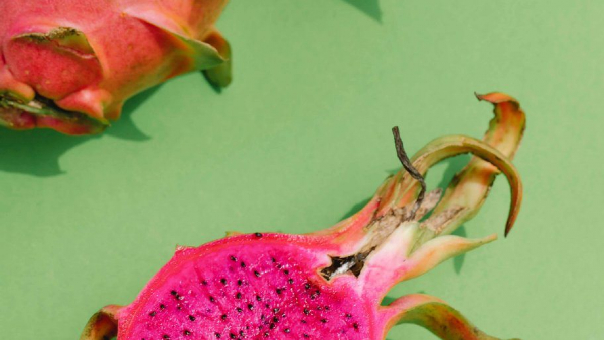 Image-Cover-Tall-2-1-min