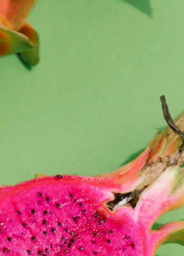 Image-Cover-Tall-2-1-min