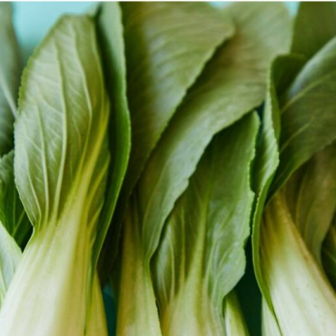 Rectangle-2-3-e1637396671481-min