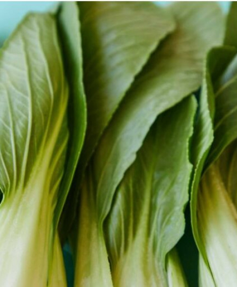 Rectangle-2-3-e1637396671481-min