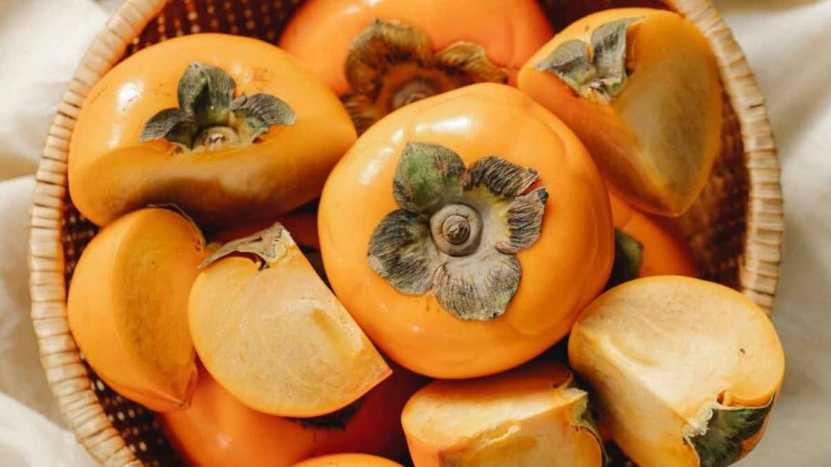 Rectangle-53-e1638771977491-min