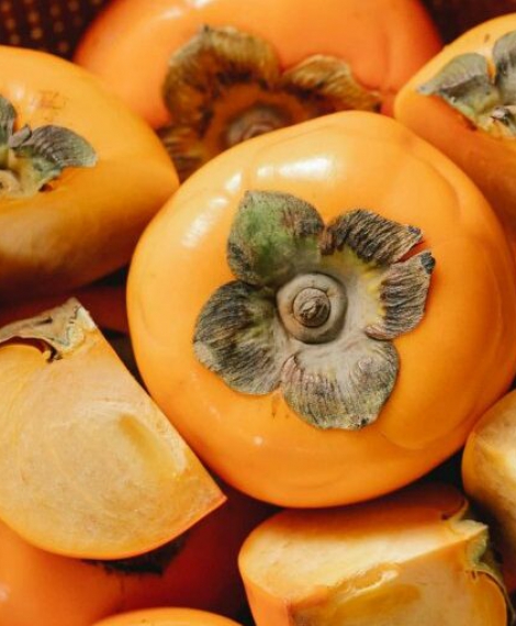 Rectangle-53-e1638771977491-min